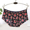 Summer Soft Seamless Briefs Underwear Women Sexy