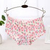 Summer Soft Seamless Briefs Underwear Women Sexy