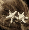 Europe Women Lady Girls Pretty Natural Starfish Star Beige Hair Clip