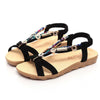 Women's Summer Sandals Shoes Peep-toe Low Shoes Roman Sandals Ladies Flip Flops
